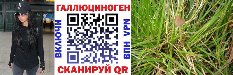 Галлюциногенные грибы Magic Shrooms  MEGA ССЫЛКА  Волгоград 