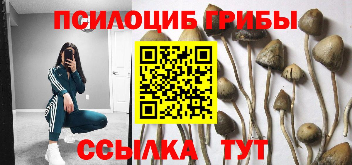 Волгоград  Галлюциногенные грибы MAGIC MUSHROOMS  Вход с VPN 